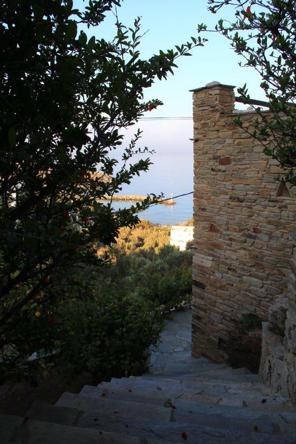 Cozy Guesthouse - Agios Romanos المظهر الخارجي الصورة